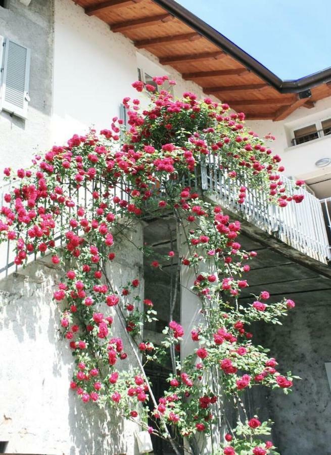 "Il Cortile" Apartment Colico Buitenkant foto
